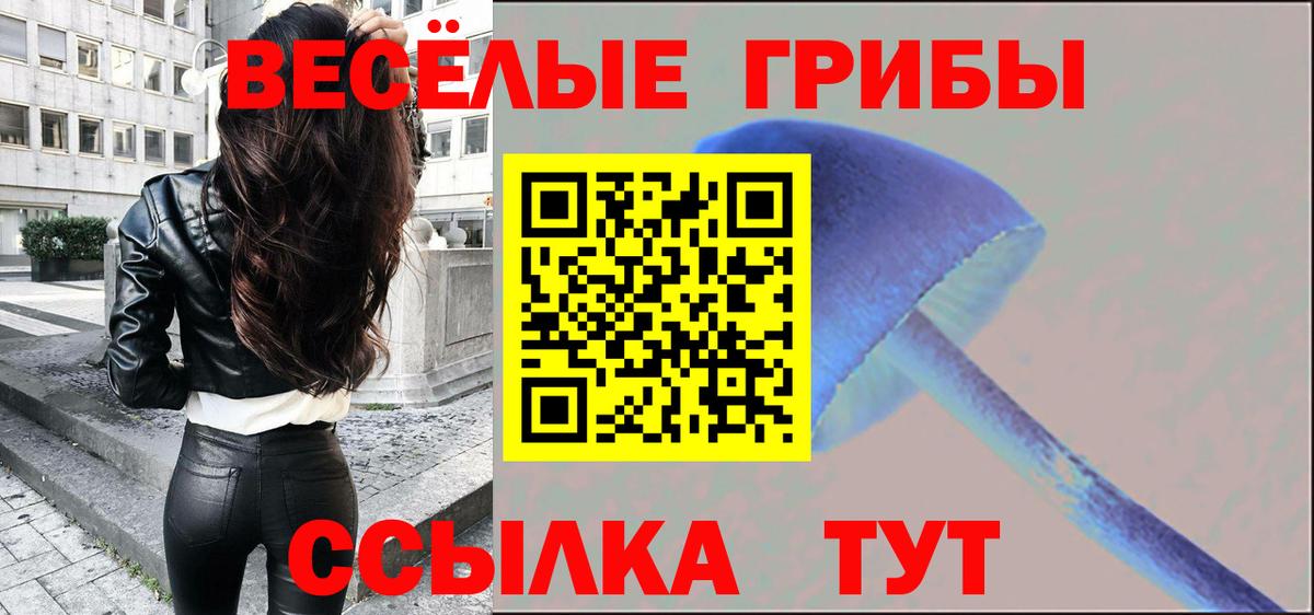 Псилоцибиновые грибы GOLDEN TEACHER Дивногорск