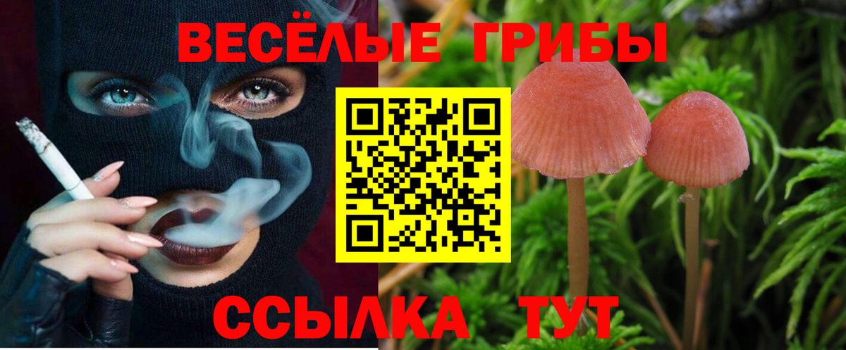 Дивногорск  Галлюциногенные грибы Magic Shrooms  Вход с VPN  Псилоцибиновые грибы Psilocybine cubensis 